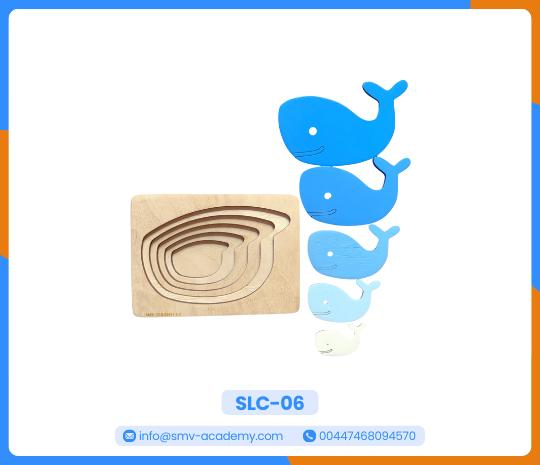 بازل دولفين متعدد الطبقات